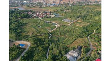 【湖北日?qǐng)?bào)】千年銅都鋪綠為底色 ——大冶在發(fā)展中保障和改善民生③